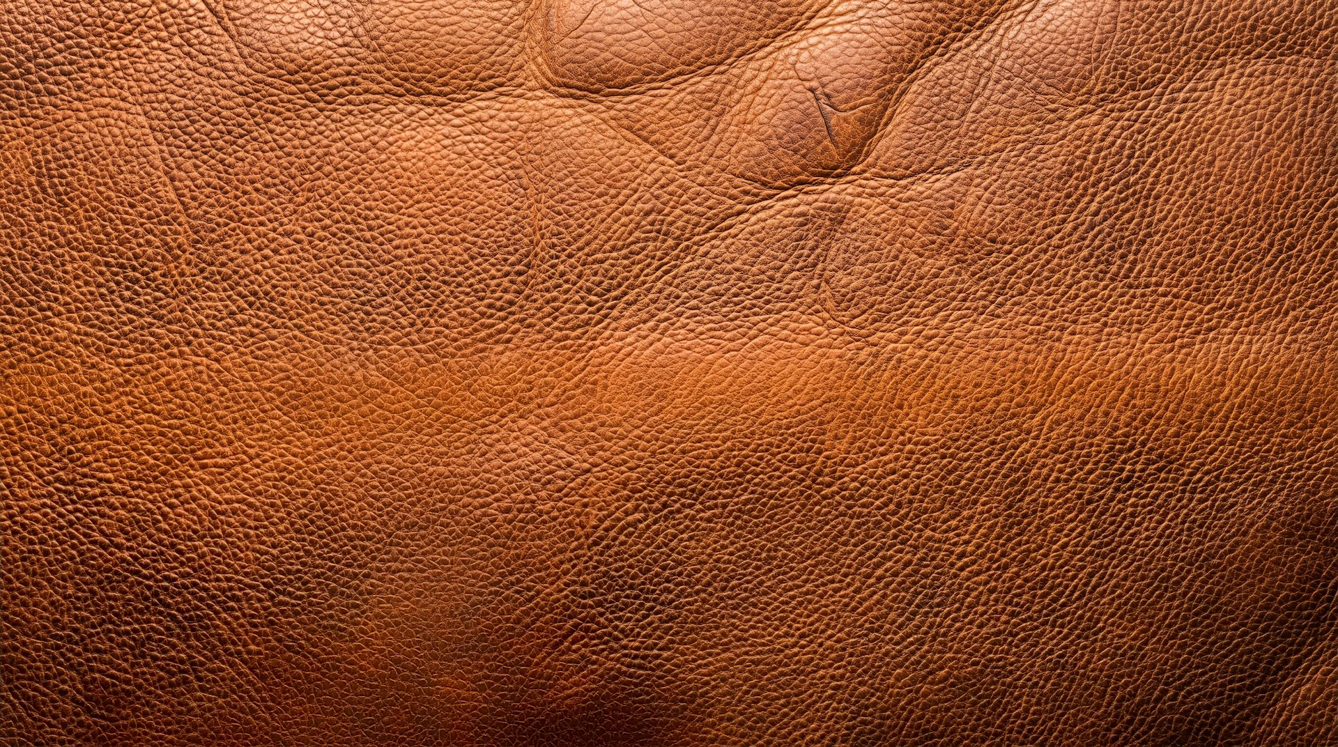 Leather Types Explained: Full-Grain, Top-Grain, Bonded & Vegetable-Tanned